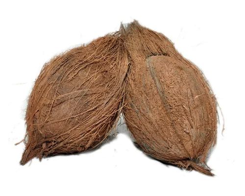 Light Brown Solid A Grade Large Semi Husked Coconut, for Pooja, Cooking, Speciality : Freshness, Healthy