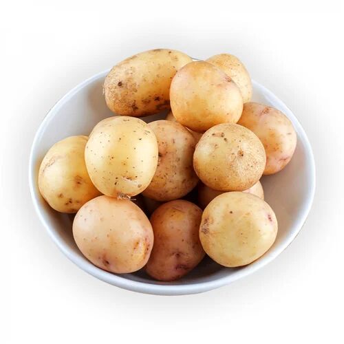 Organic Baby Potato, Shelf Life : 10 Days