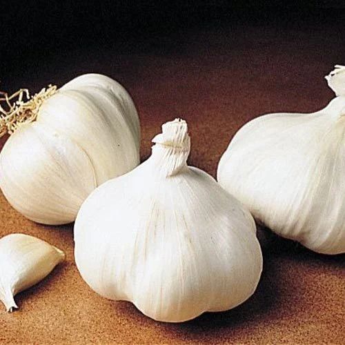 White Whole Cloves Natural Garlic, for Cooking, Shelf Life : 15 Days