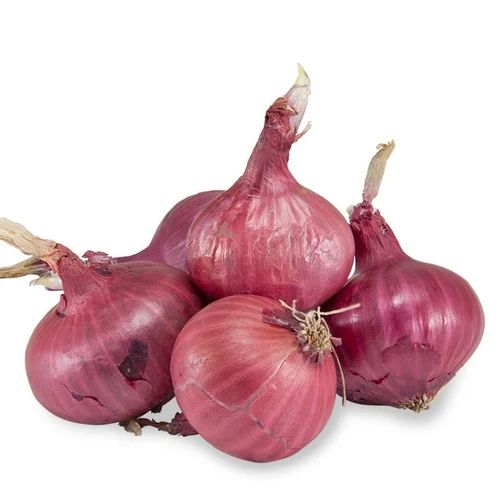 Natural Red Onion, for Human Consumption, Shelf Life : 7-15days