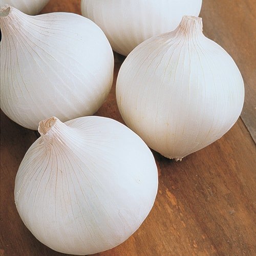 Natural White Onion