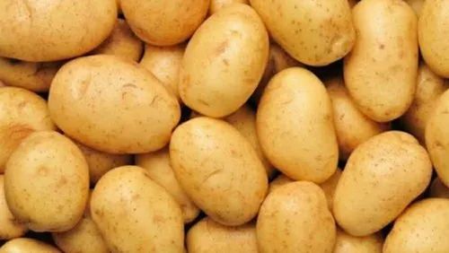 Organic Pahadi Potato, Shelf Life : 10 Days