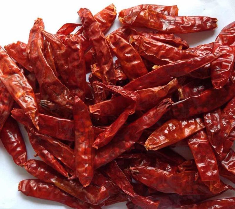 Raw Natural Stemless Dry Red Chilli, for Spices, Cooking, Certification : FSSAI Certified