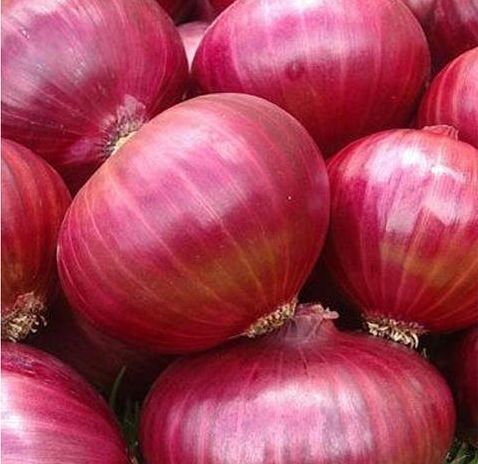 Fresh Nashik Onion