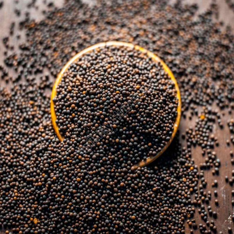 Natural Black Mustard Seeds, for Spices, Shelf Life : 6 Month