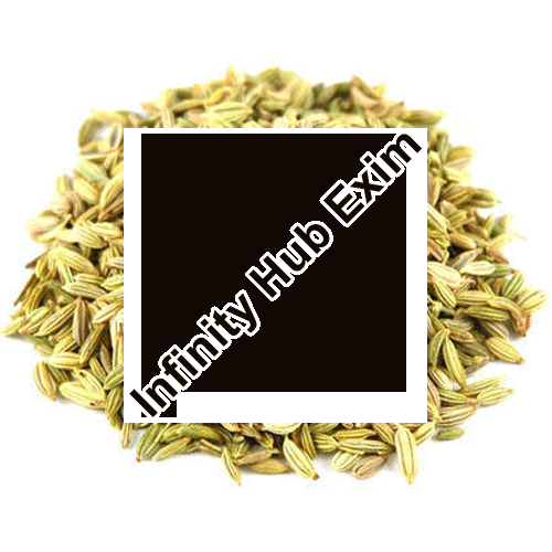 Green Natural Fennel Seeds, for Spacies, Shelf Life : 9 Month