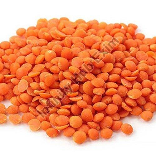 Orange Masoor Dal, for Cooking, Variety Available : Moong