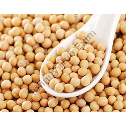 Nature soybean seeds, for Cooking, Packaging Type : Plastic Bags