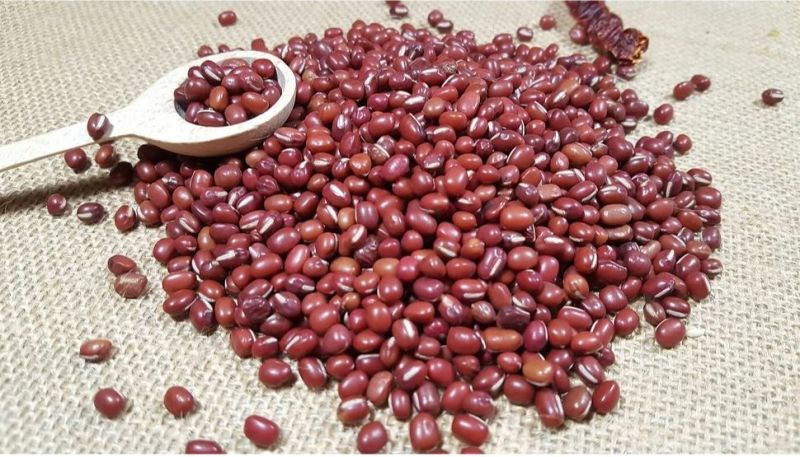 Red Organic Adzuki Beans, for Cooking, Grade Standard : Food Grade