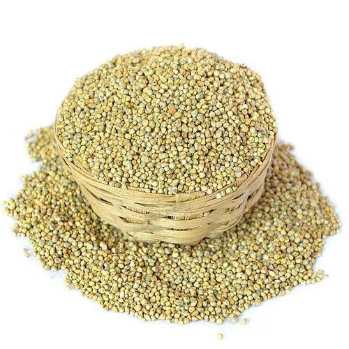 Green Organic Pearl Millet, for Cooking, Packaging Size : 25kg