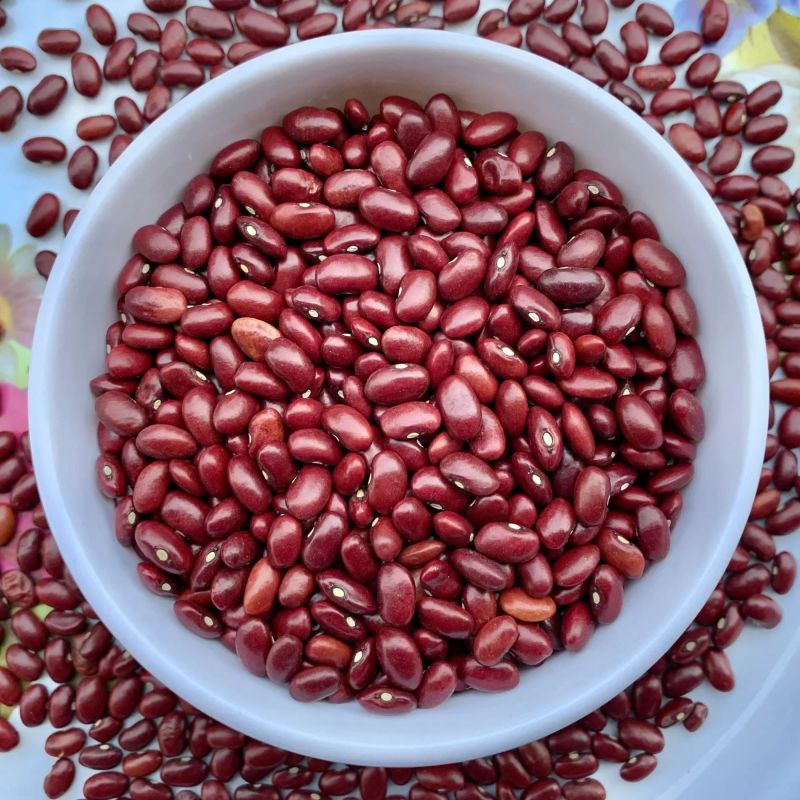 Organic Red Kidney Beans, for Cooking, Packaging Size : 25kg