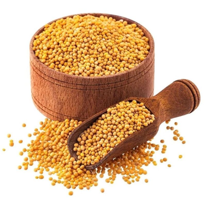 Yellow Mustard Seeds, for Cooking, Packaging Size : 25kg