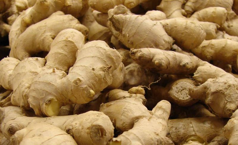 Brown Whole A Grade Ginger, for Cooking, Shelf Life : 10 Days
