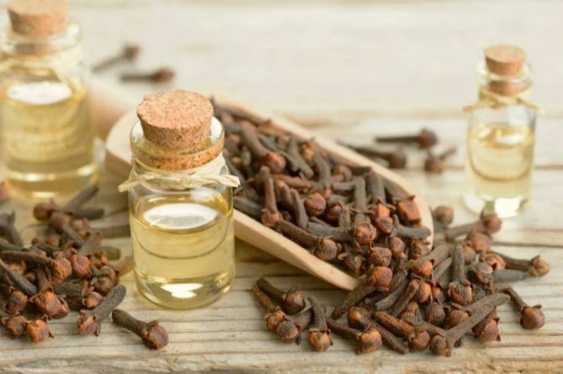 85% Clove Oil