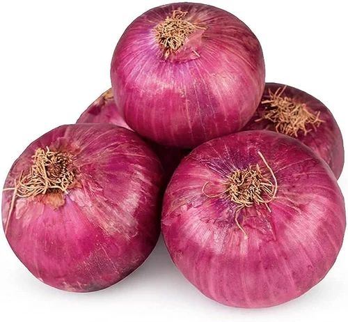 A Grade Big Red Onion, for Cooking, Shelf Life : 7-15days
