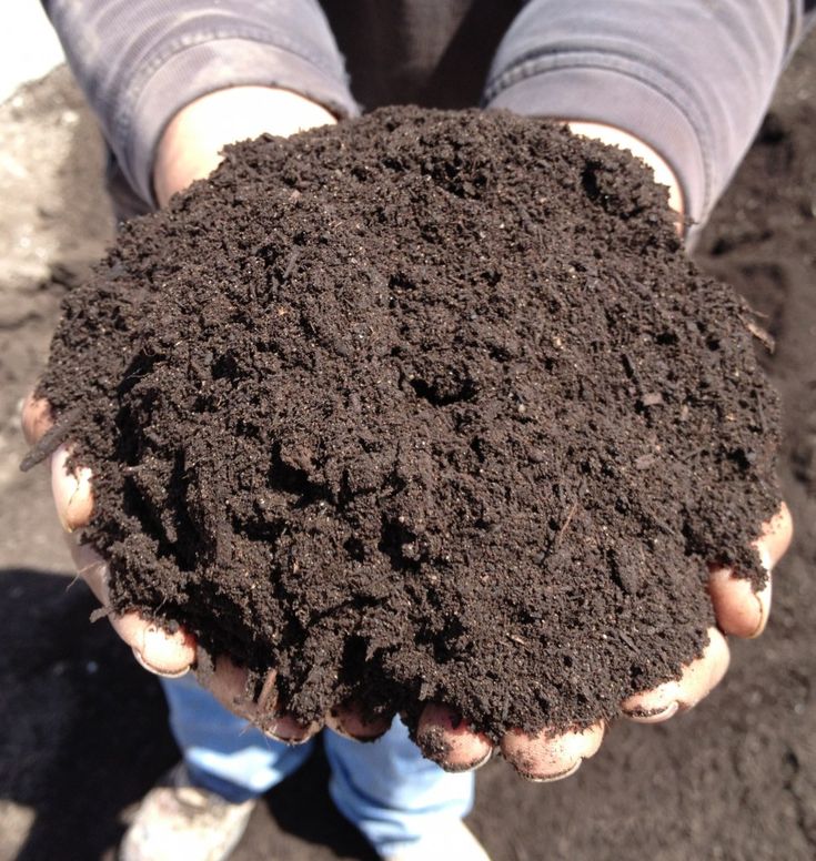 Bio Organic Fertilizer