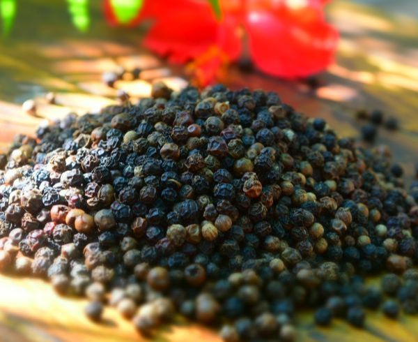 Organic Black Pepper Seeds, for Cooking, Shelf Life : 6 Month