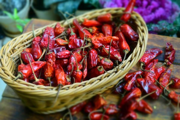 Raw Organic dried red chilli, for Spices, Grade Standard : Food Grade