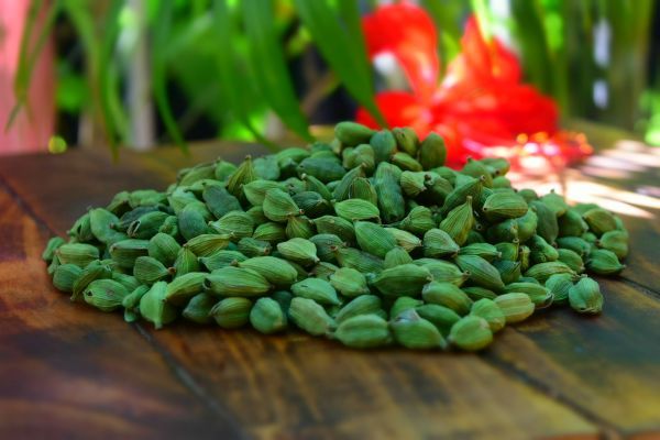 Organic Green Cardamom, for Cooking, Shelf Life : 6 Month