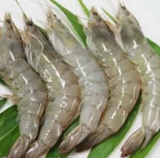 Creamy Fresh Vannamei Shrimps, for Restaurant, Packaging Type : Box