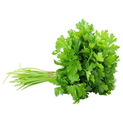 Leaves Fresh Green Coriander, for Cooking, Packaging Type : Paper Carton Box