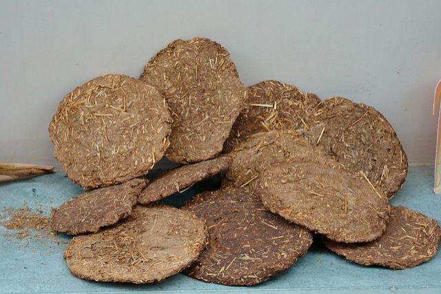 Cow Dung Cake