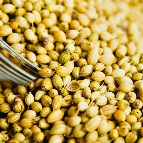 Green Organic Coriander Seeds, for Cooking, Grade Standard : Food Grade