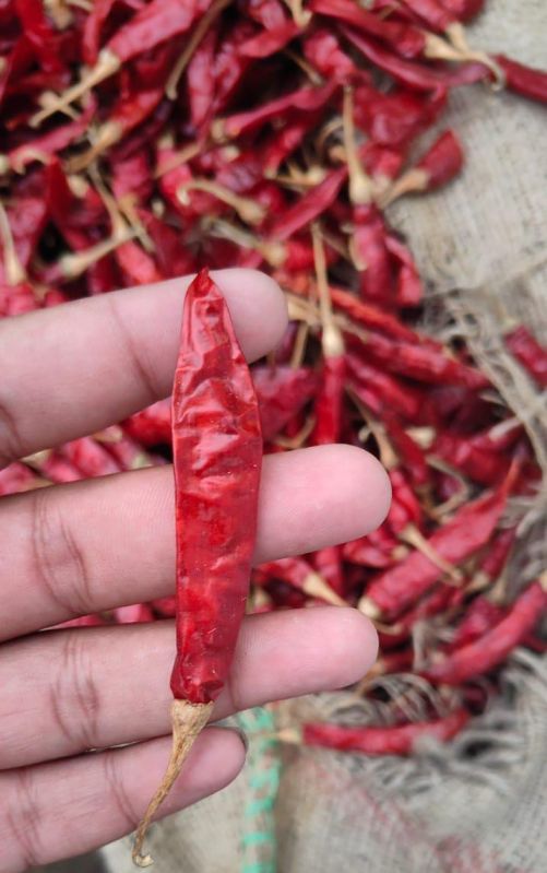 Sanam S4 334 Red Chilli, For Cooking, Shelf Life : 3months