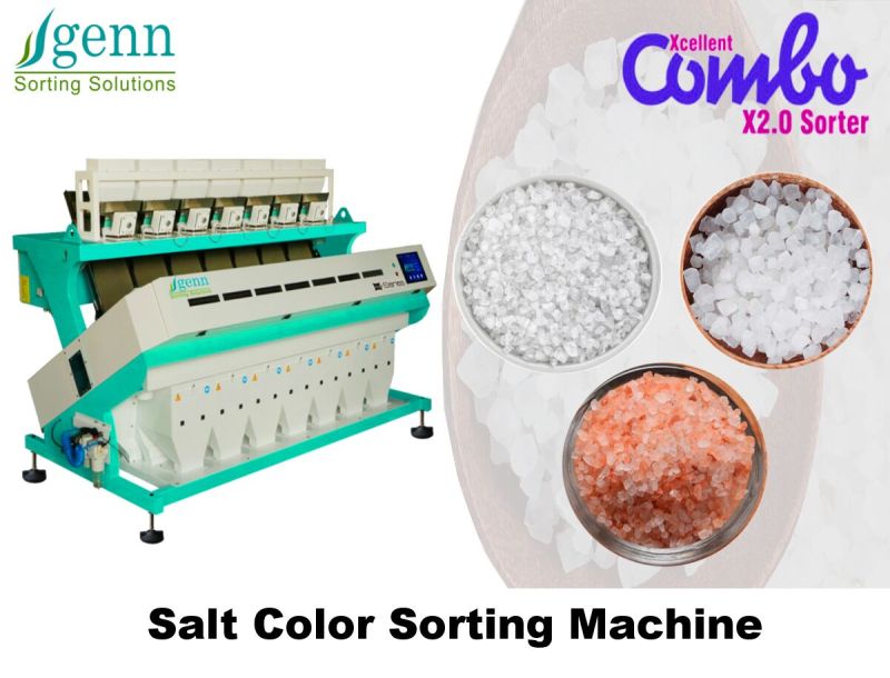 GENN 1000Kg To 5000Kg Pneumatic Salt Color Sorter Machine, for Food Industry