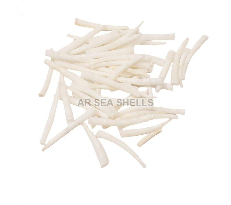 Non Polished White Dentalium Natural Shell, for Jewelry components or beads, Style : Antique