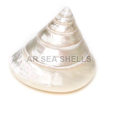 White Mother Pearl Conical Pyramid Seashell, for Decoration, Style : Antique