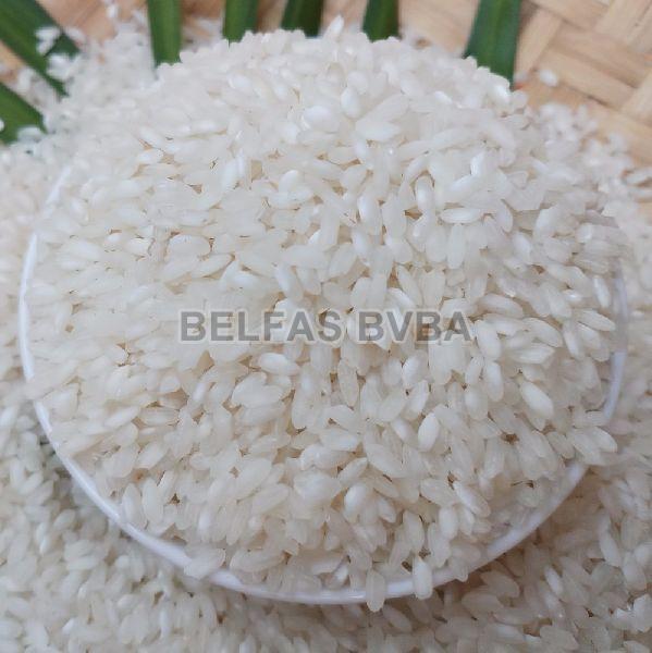calrose rice