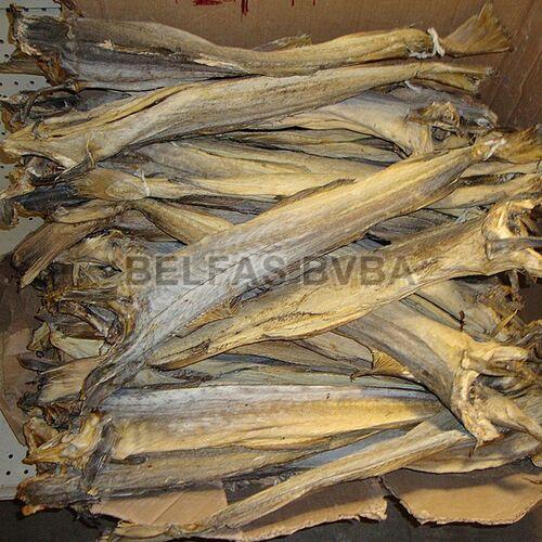 Dried Stockfish