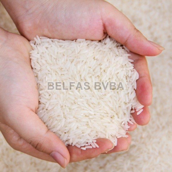 Fragrant Rice