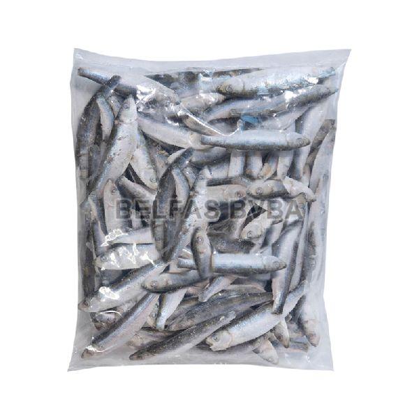 Frozen Sprats