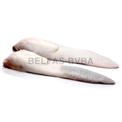 Halal Frozen Buffalo Tongue