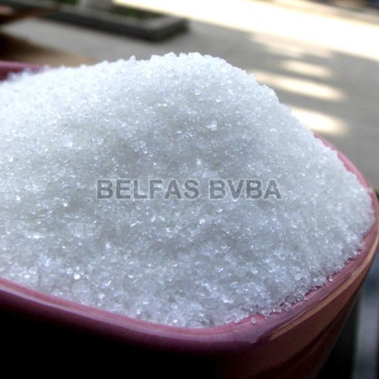Raw White Sugar
