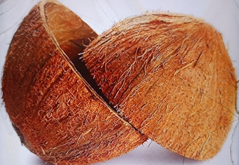 SLV Coconut Shell, for Industrial, Style : Dried