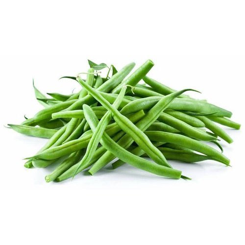 Green Organic Fresh Beans, For Cooking, Packaging Type : Net Bag