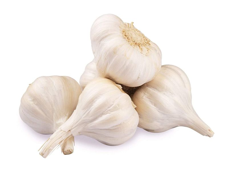 White Whole Cloves Fresh Garlic, for Cooking, Shelf Life : 15 Days