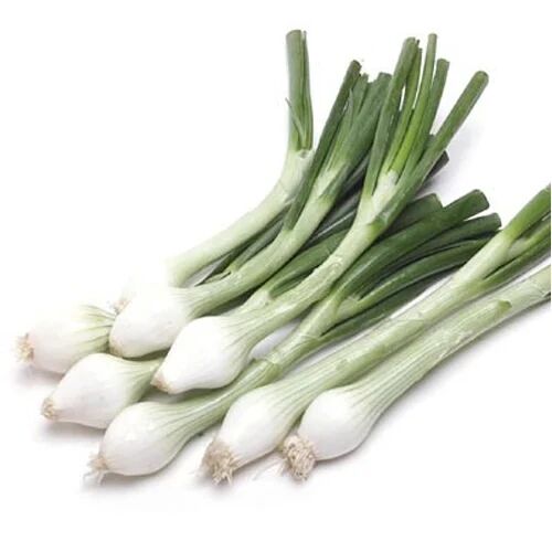 Fresh Green Onion, for Cooking, Quality Available : A Grade