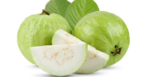 Green Round Organic Fresh Guava, for Human Consumption, Packaging Type : Plastic Packet
