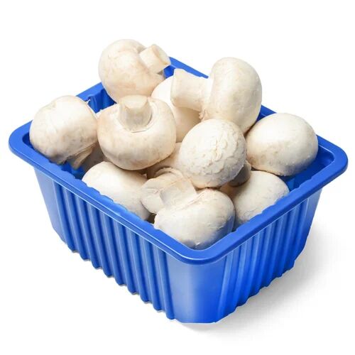 Fresh Mushroom, Quality Available : A Grade