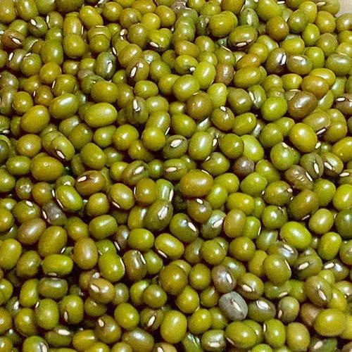 Organic Green Moong Dal, for Cooking, Grade Standard : Food Grade