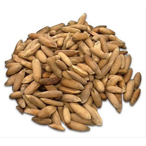 Pine nuts, Packaging Type : Plastic Packet