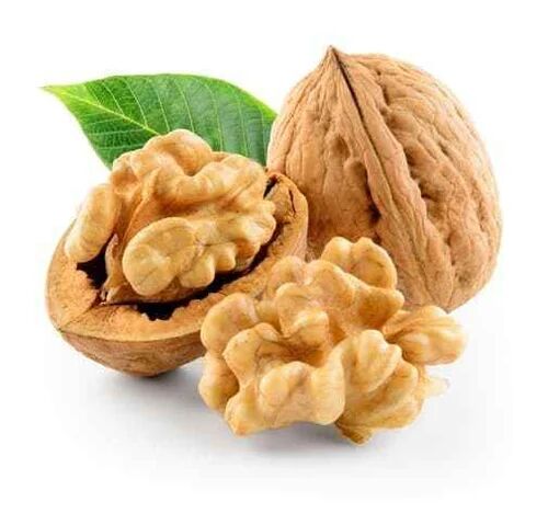Walnuts, Feature : High In Protein