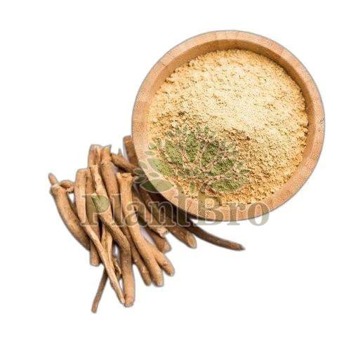 Brown Ashwagandha Powder, For Medicine, Herbal Products, Shelf Life : 6 Months