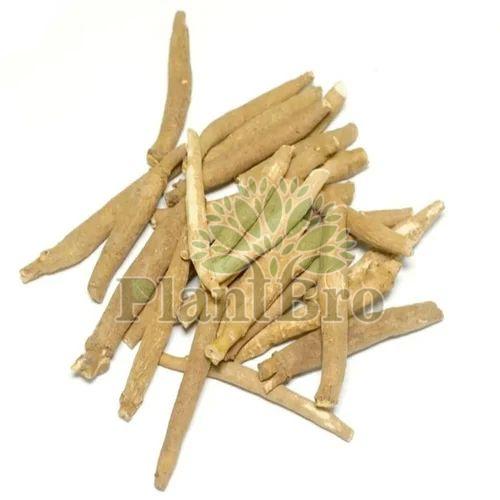 Brown Natural Ashwagandha Roots, For Medicinal Purpose, Packaging Type : Plastic Bag