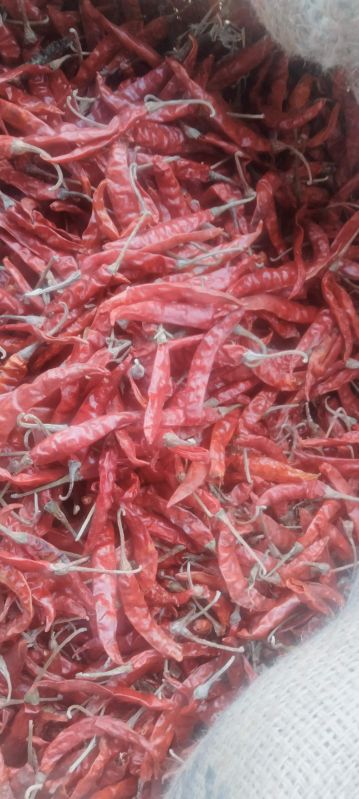 Red Chilli, For Spices, Packaging Size : 20 Kg