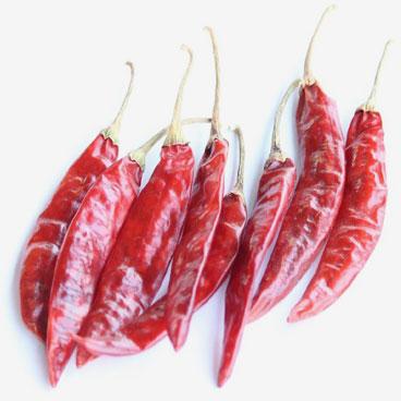 Sannam/334/S10/S4 Dried Red Chilli
